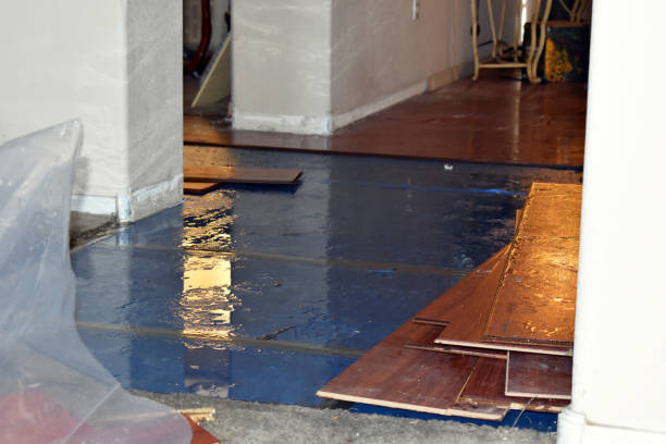 Professional Burst Pipe Cleanup technician working in Lake City, MN