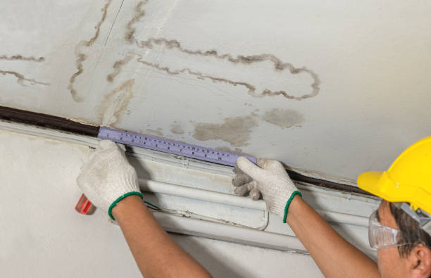 Reliable Burst Pipe Cleanup contractor in Lake City, MN by Water Damage Irwin